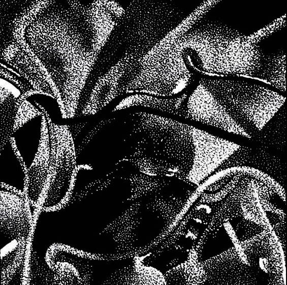 Bez tytułu, linoryt 05, 20x20cm, 2010