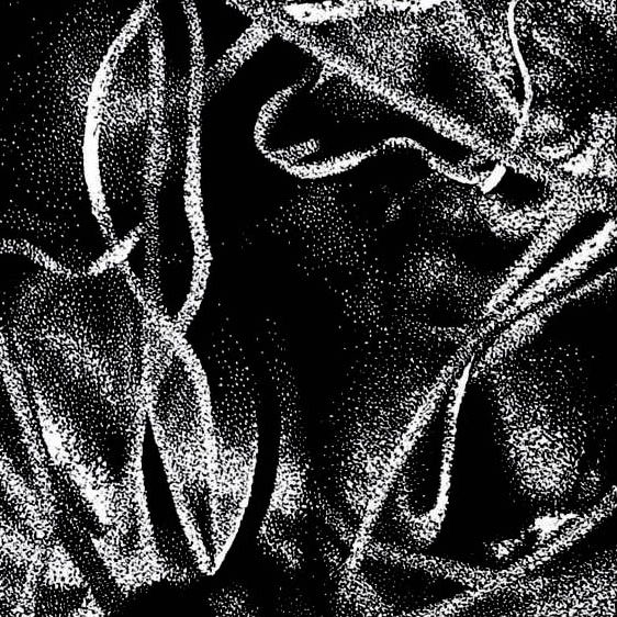 Bez tytułu, linoryt 07, 20x20cm, 2010