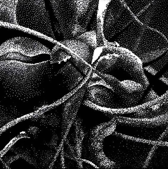 Bez tytułu, linoryt 06, 20x20cm, 2011