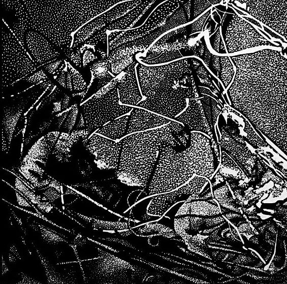 Bez tytułu, linoryt 09, 20x20cm, 2011r